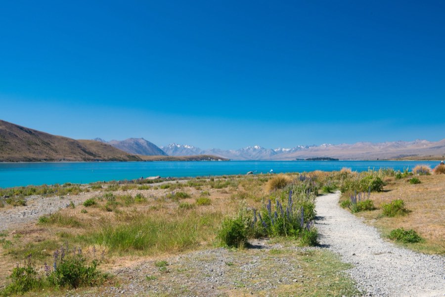 World, Winter 2015, New Zealand. Photograph by Jordy Meow
