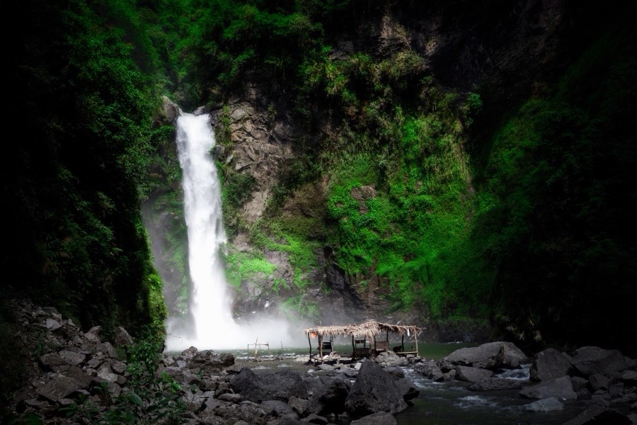 World, Spring 2015, Philippines. Photograph by Jordy Meow