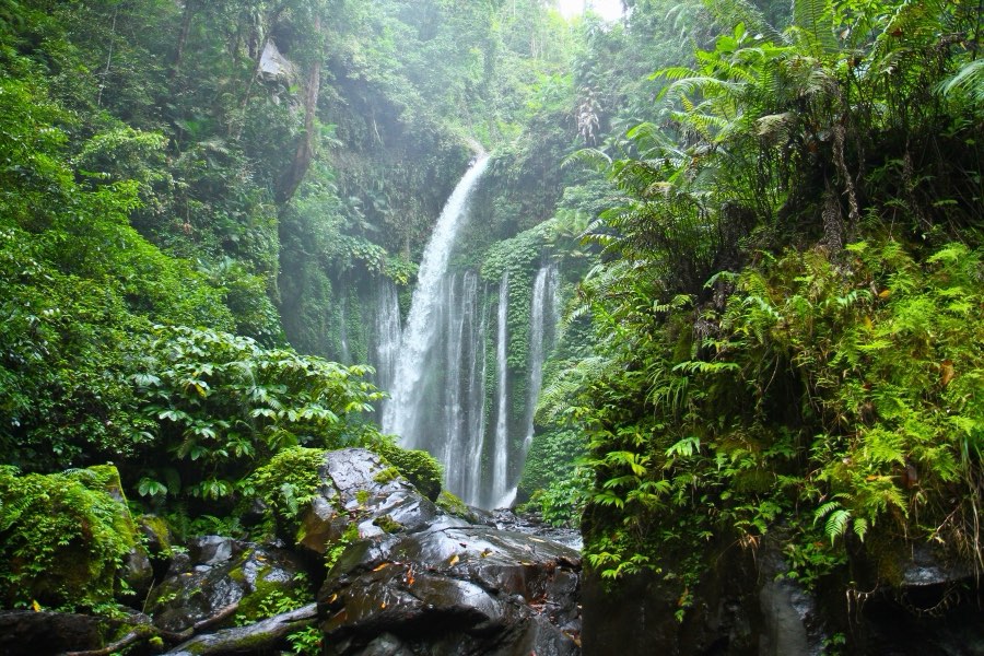World, Summer 2010, Indonesia. Photograph by Jordy Meow