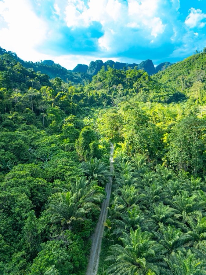 World, Spring 2025, Thailand. Photograph by Jordy Meow