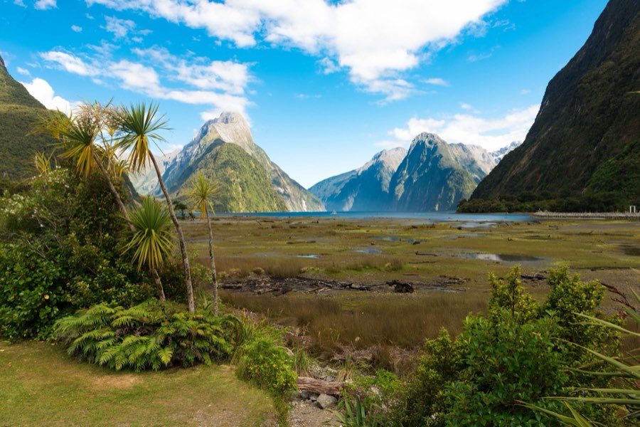 World, Winter 2015, New Zealand. Photograph by Jordy Meow