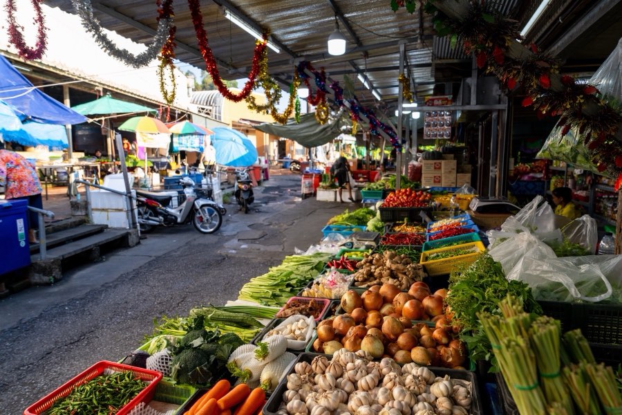 World, Spring 2025, Thailand. Photograph by Jordy Meow
