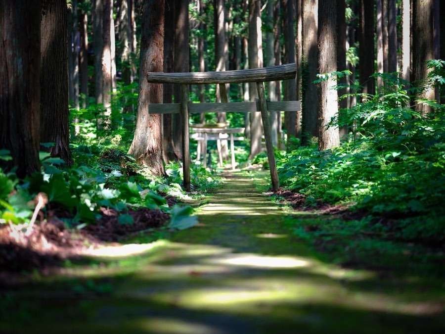 Japan, Summer 2021. Photograph by Jordy Meow