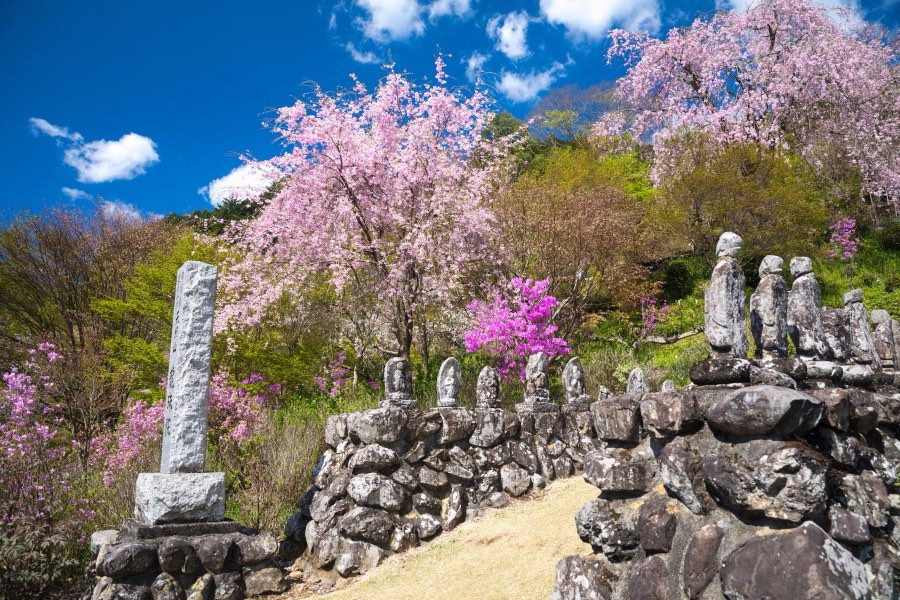 Japan, Spring 2017. Photograph by Jordy Meow
