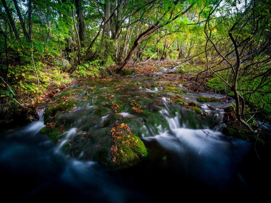 Akita, Autumn 2020, Japan. Photograph by Jordy Meow