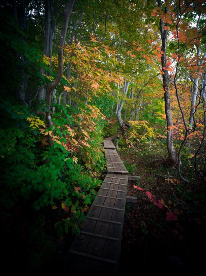 Akita, Autumn 2020, Japan. Photograph by Jordy Meow