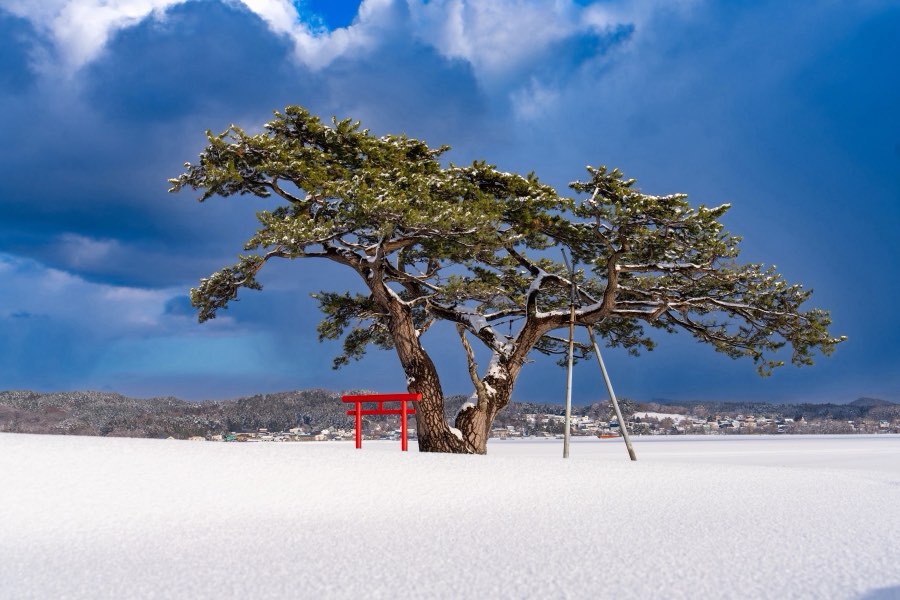 Aomori, Winter 2025, Japan. Photograph by Jordy Meow