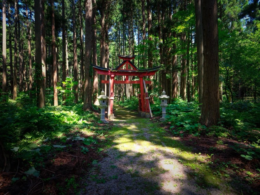 Aomori, Summer 2021, Japan. Photograph by Jordy Meow