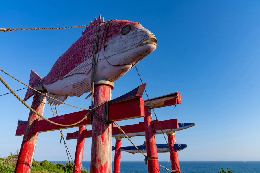 Chiba, Summer 2024, Japan. Photograph by Jordy Meow