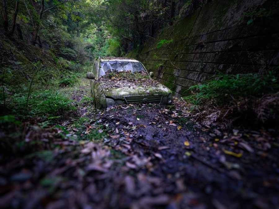 Chiba, Autumn 2022, Japan. Photograph by Jordy Meow