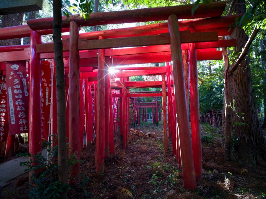 Chiba, Autumn 2020, Japan. Photograph by Jordy Meow