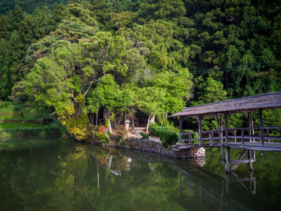 Ehime, Summer 2020, Japan. Photograph by Jordy Meow