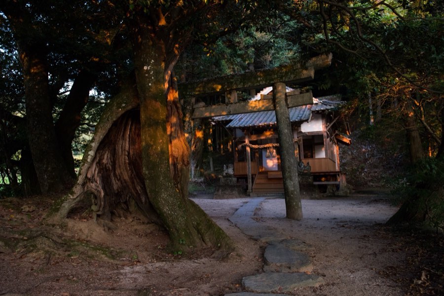 Ehime, Summer 2016, Japan. Photograph by Jordy Meow