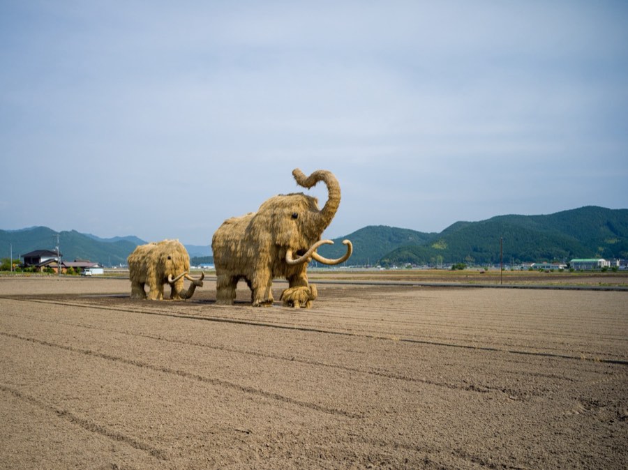 Ehime, Summer 2020, Japan. Photograph by Jordy Meow