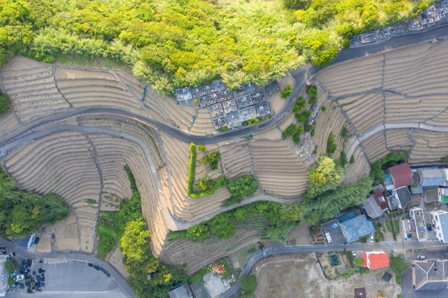 Ehime, Summer 2020, Japan. Photograph by Jordy Meow