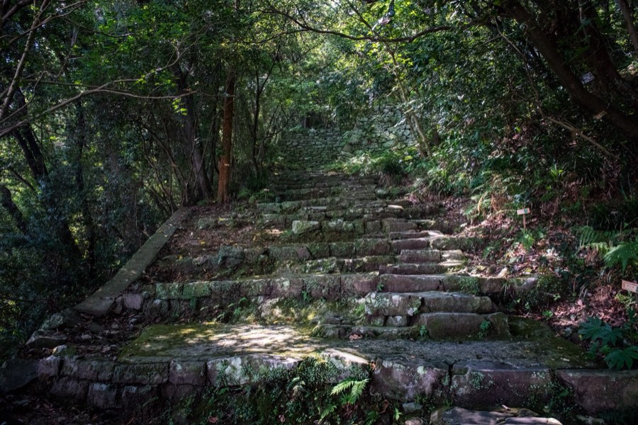 Ehime, Summer 2016, Japan. Photograph by Jordy Meow