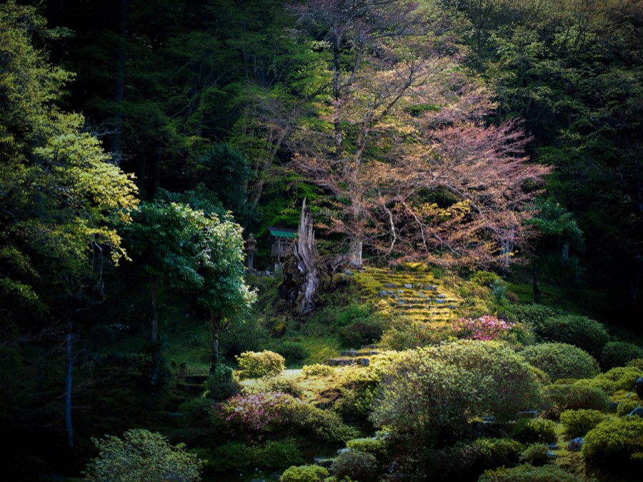 Fukui, Spring 2020, Japan. Photograph by Jordy Meow