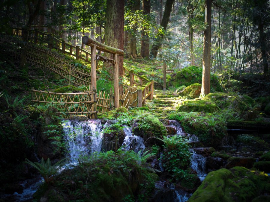 Fukui, Spring 2020, Japan. Photograph by Jordy Meow