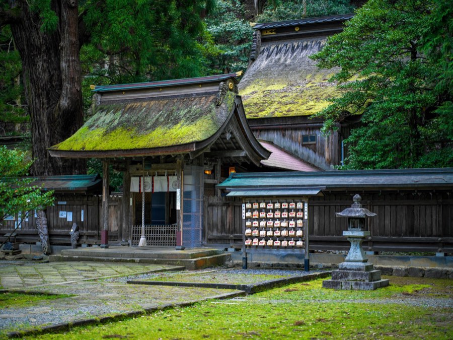 Fukui, Spring 2020, Japan. Photograph by Jordy Meow