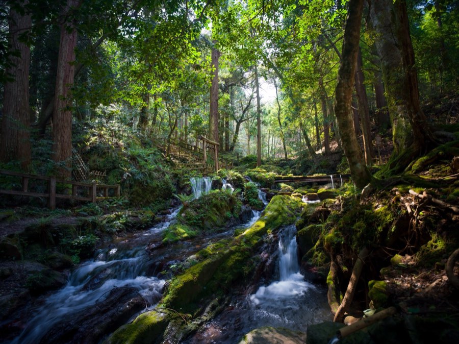 Fukui, Spring 2020, Japan. Photograph by Jordy Meow