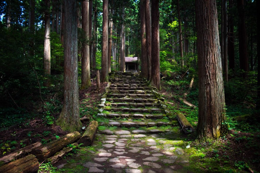 Fukui, Summer 2016, Japan. Photograph by Jordy Meow