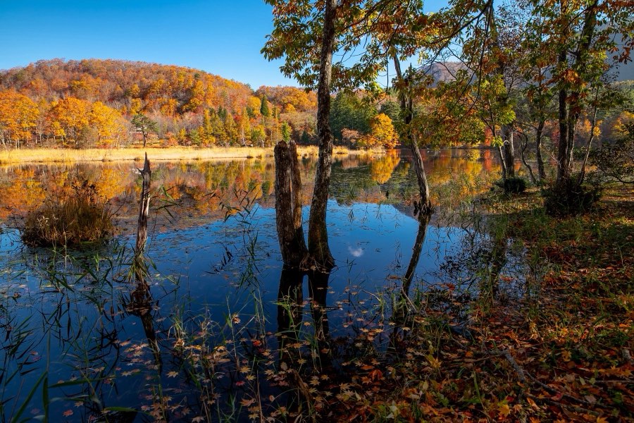 Fukushima, Autumn 2018, Japan. Photograph by Jordy Meow