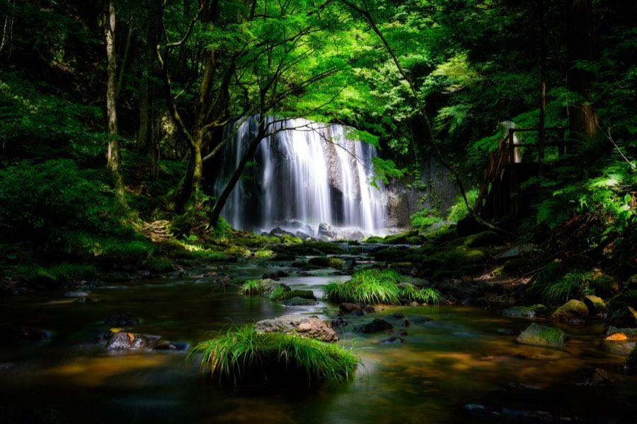 Fukushima, Summer 2014, Japan. Photograph by Jordy Meow