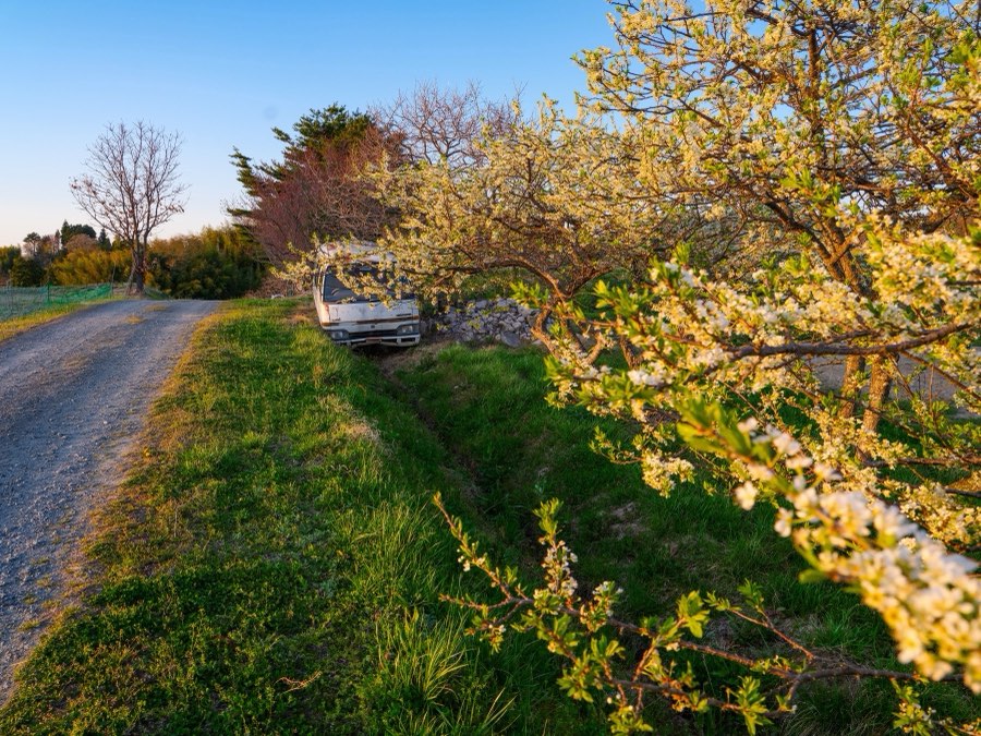 Fukushima, Spring 2023, Japan. Photograph by Jordy Meow