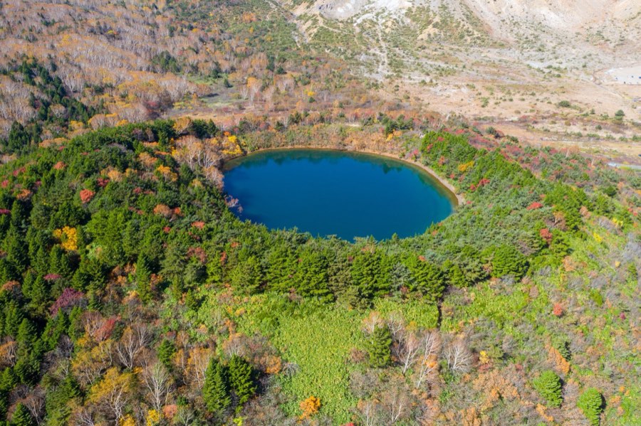 Fukushima, Autumn 2020, Japan. Photograph by Jordy Meow