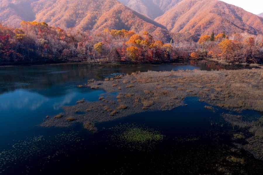 Fukushima, Autumn 2018, Japan. Photograph by Jordy Meow