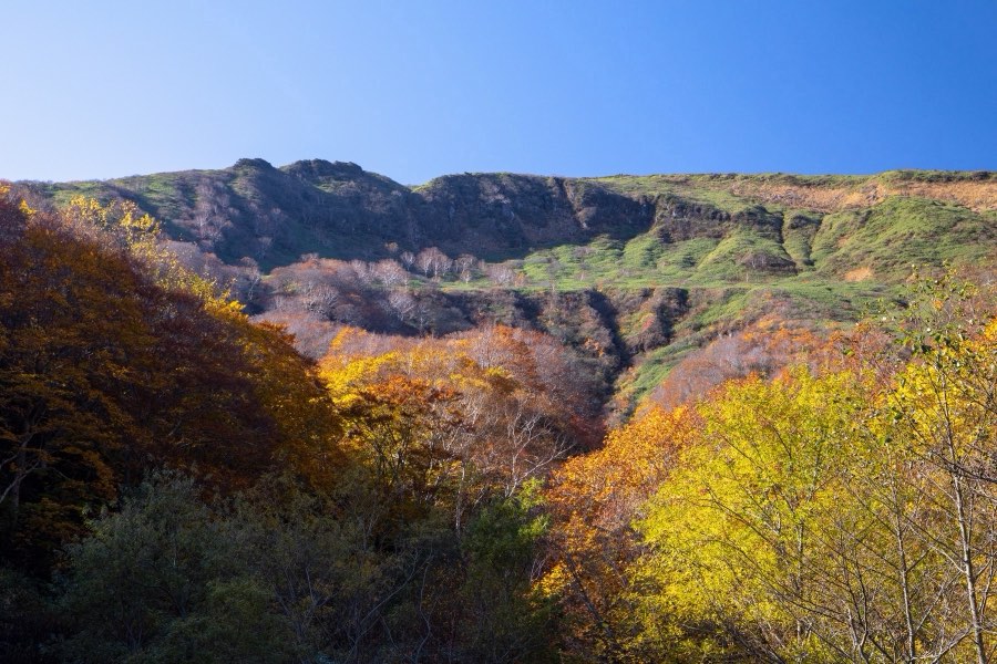 Fukushima, Autumn 2018, Japan. Photograph by Jordy Meow