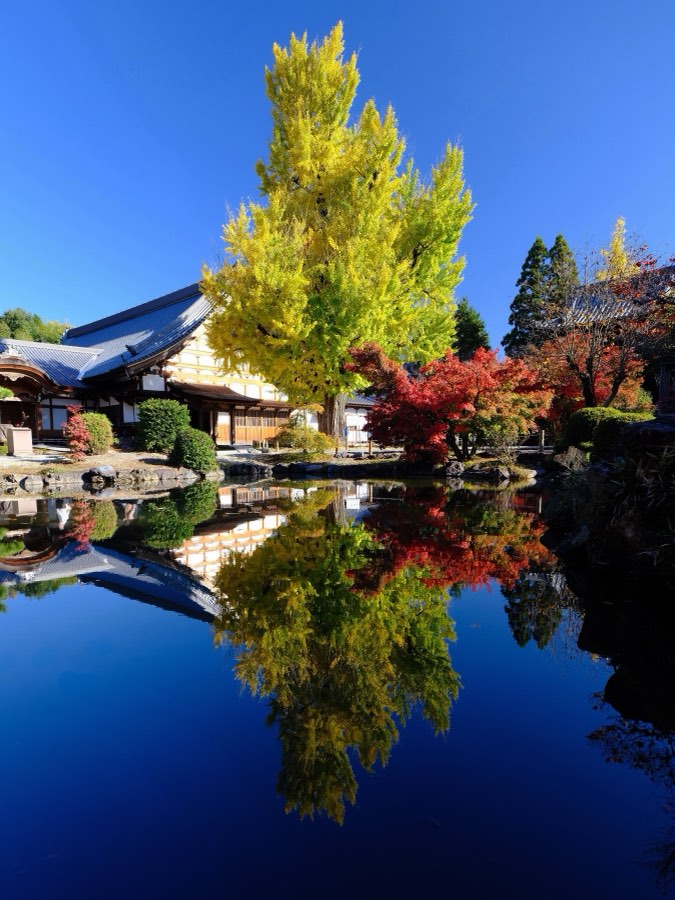 Gifu, Autumn 2022, Japan. Photograph by Jordy Meow