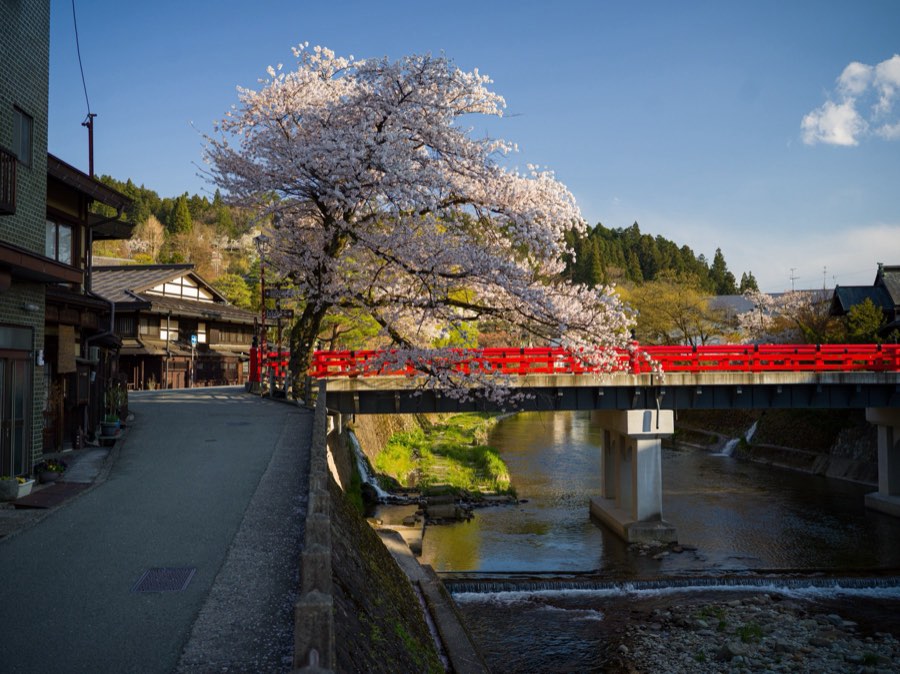 Gifu, Spring 2020, Japan. Photograph by Jordy Meow