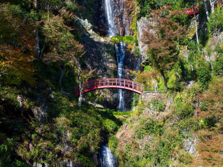 Gifu, Autumn 2019, Japan. Photograph by Jordy Meow