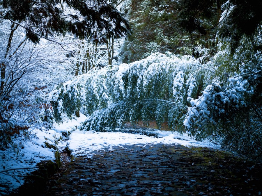 Gifu, Winter 2021, Japan. Photograph by Jordy Meow
