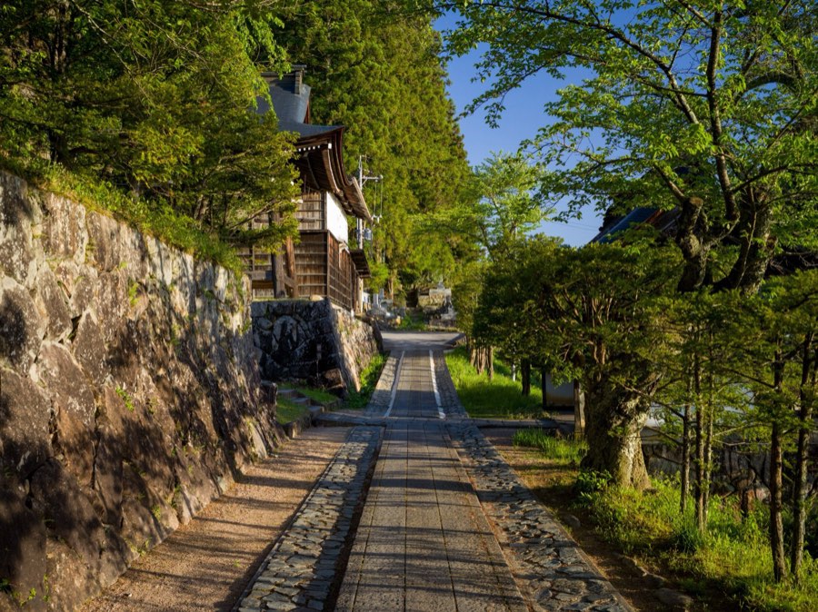 Gifu, Spring 2020, Japan. Photograph by Jordy Meow