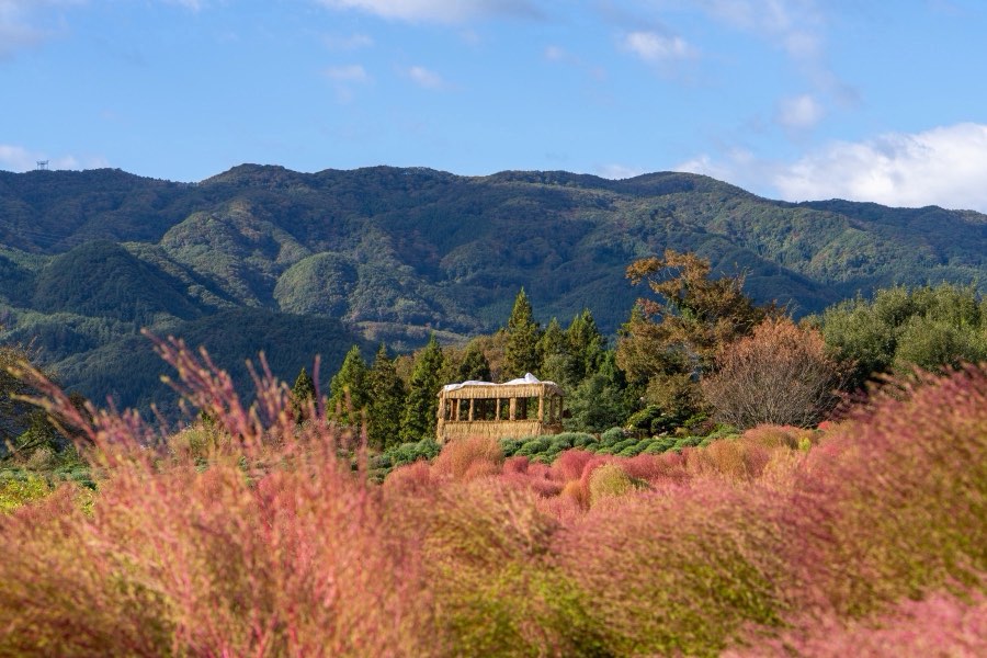 Gunma, Autumn 2023, Japan. Photograph by Jordy Meow