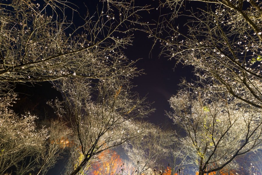 Gunma, Autumn 2013, Japan. Photograph by Jordy Meow
