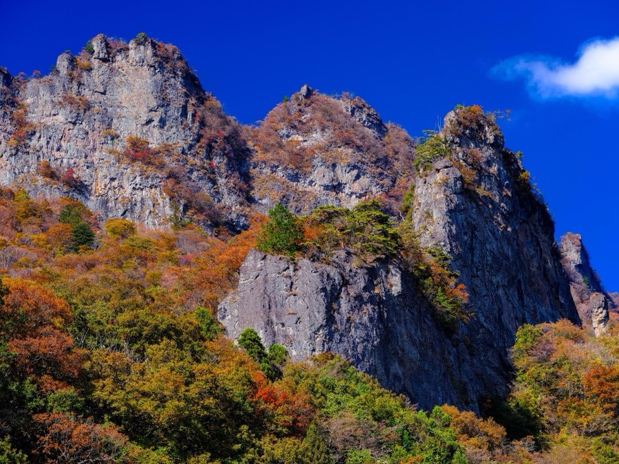 Gunma, Autumn 2021, Japan. Photograph by Jordy Meow