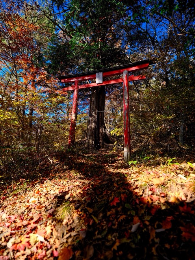 Gunma, Autumn 2021, Japan. Photograph by Jordy Meow