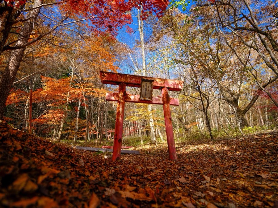 Gunma, Autumn 2021, Japan. Photograph by Jordy Meow