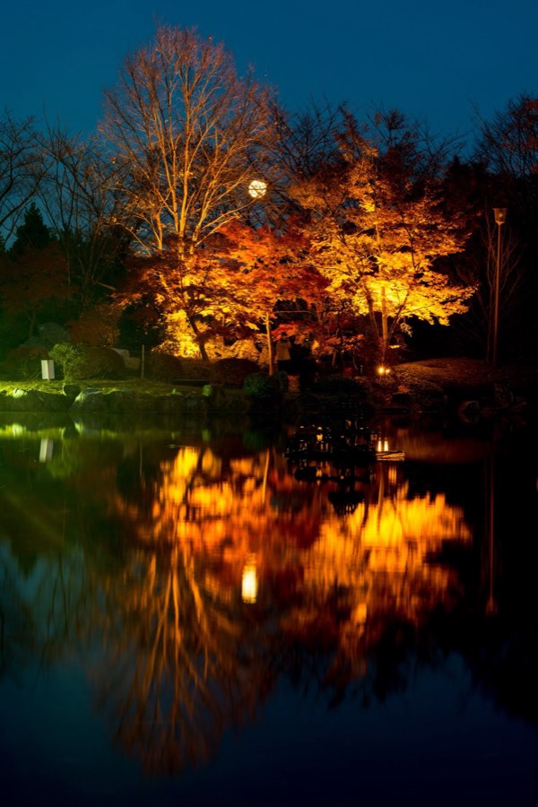 Gunma, Autumn 2013, Japan. Photograph by Jordy Meow