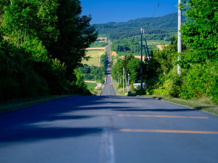 Hokkaido, Summer 2021, Japan. Photograph by Jordy Meow