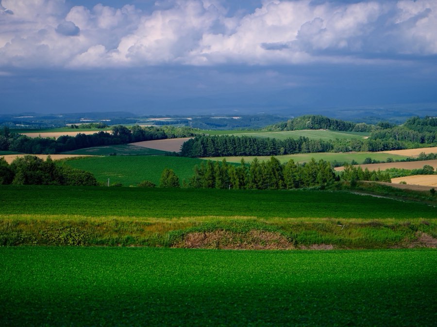 Hokkaido, Summer 2021, Japan. Photograph by Jordy Meow