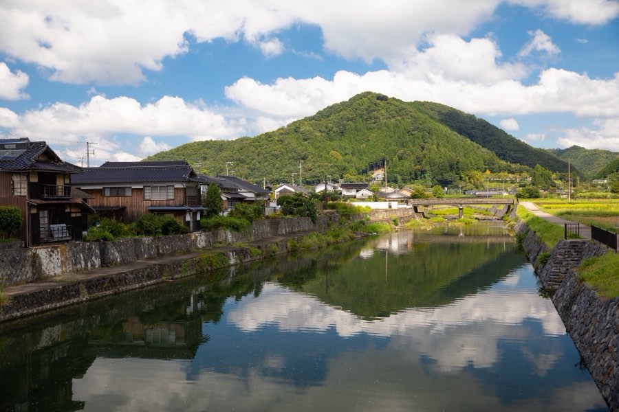 Hyogo, Autumn 2019, Japan. Photograph by Jordy Meow