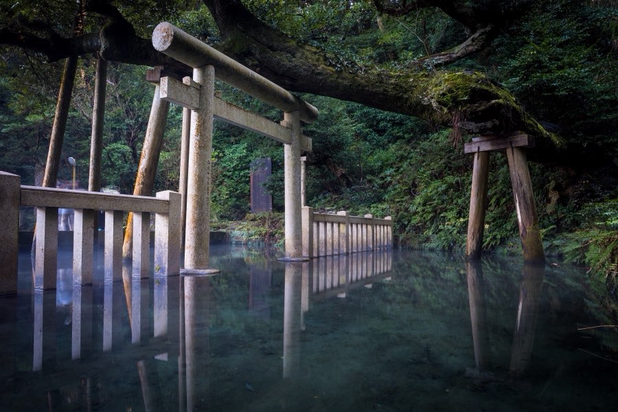 Ibaraki, Winter 2018, Japan. Photograph by Jordy Meow