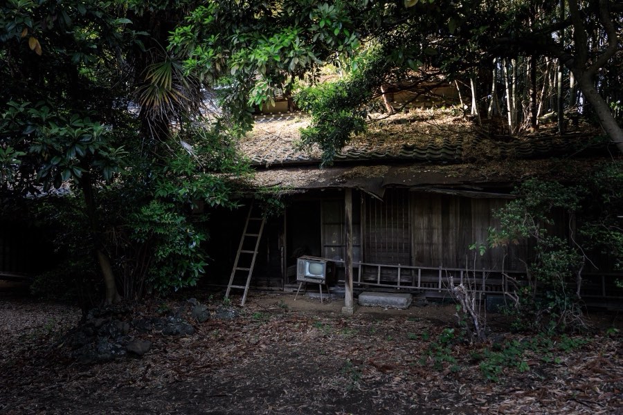Ibaraki, Spring 2018, Japan. Photograph by Jordy Meow
