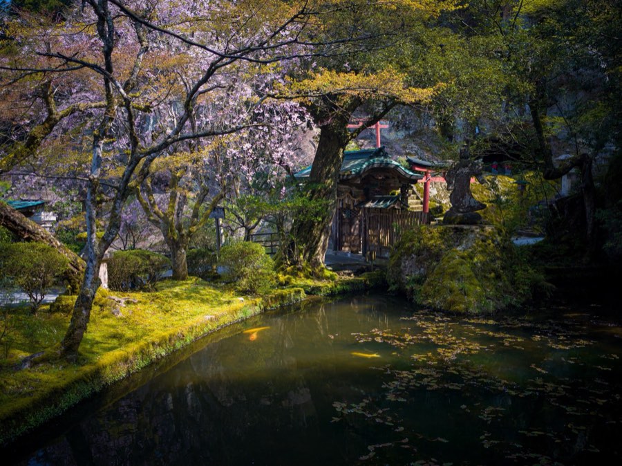 Ishikawa, Spring 2020, Japan. Photograph by Jordy Meow