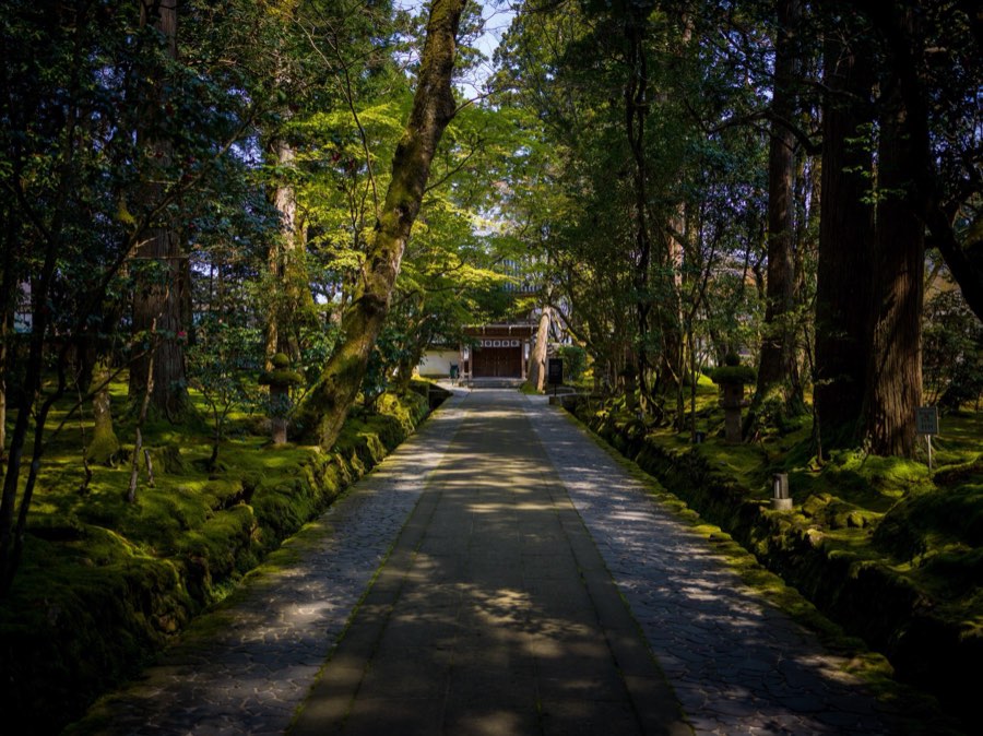 Ishikawa, Spring 2020, Japan. Photograph by Jordy Meow
