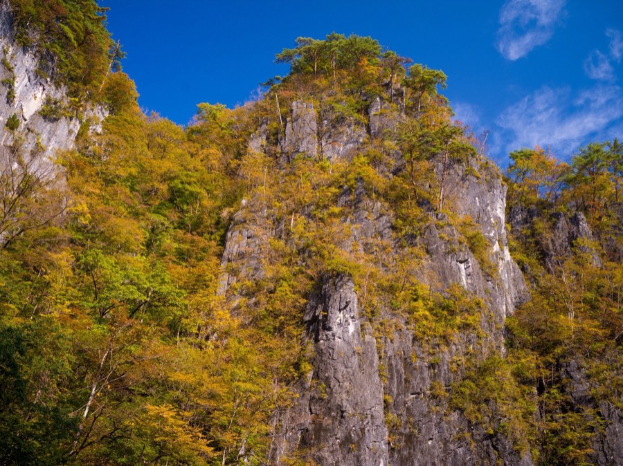 Iwate, Autumn 2020, Japan. Photograph by Jordy Meow